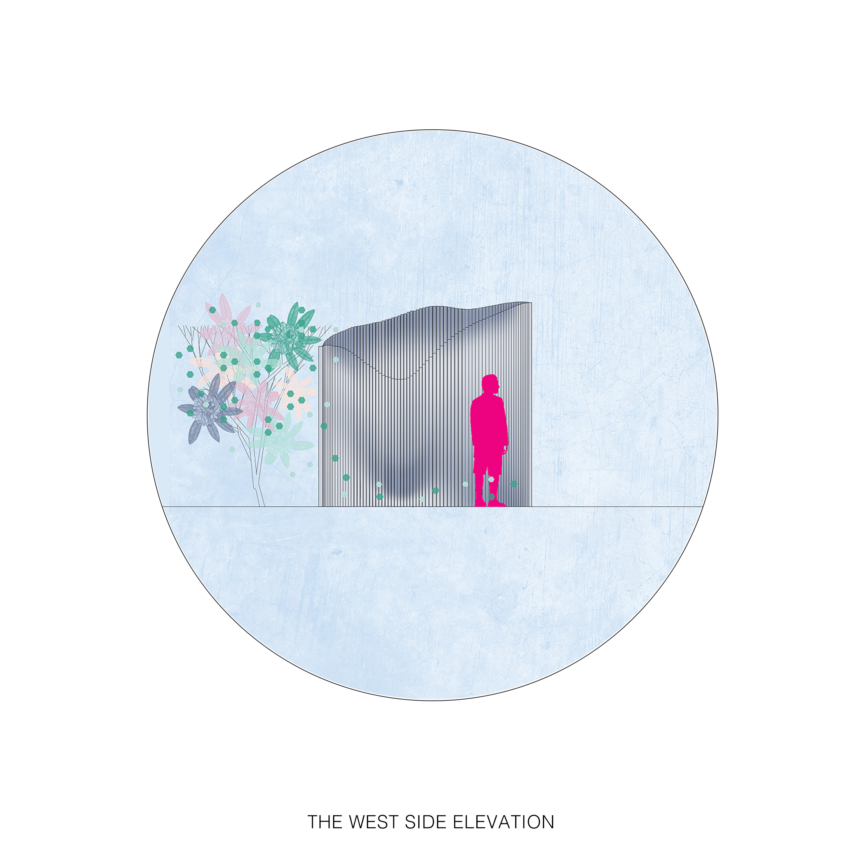 12_THE WEST SIDE ELEVATION