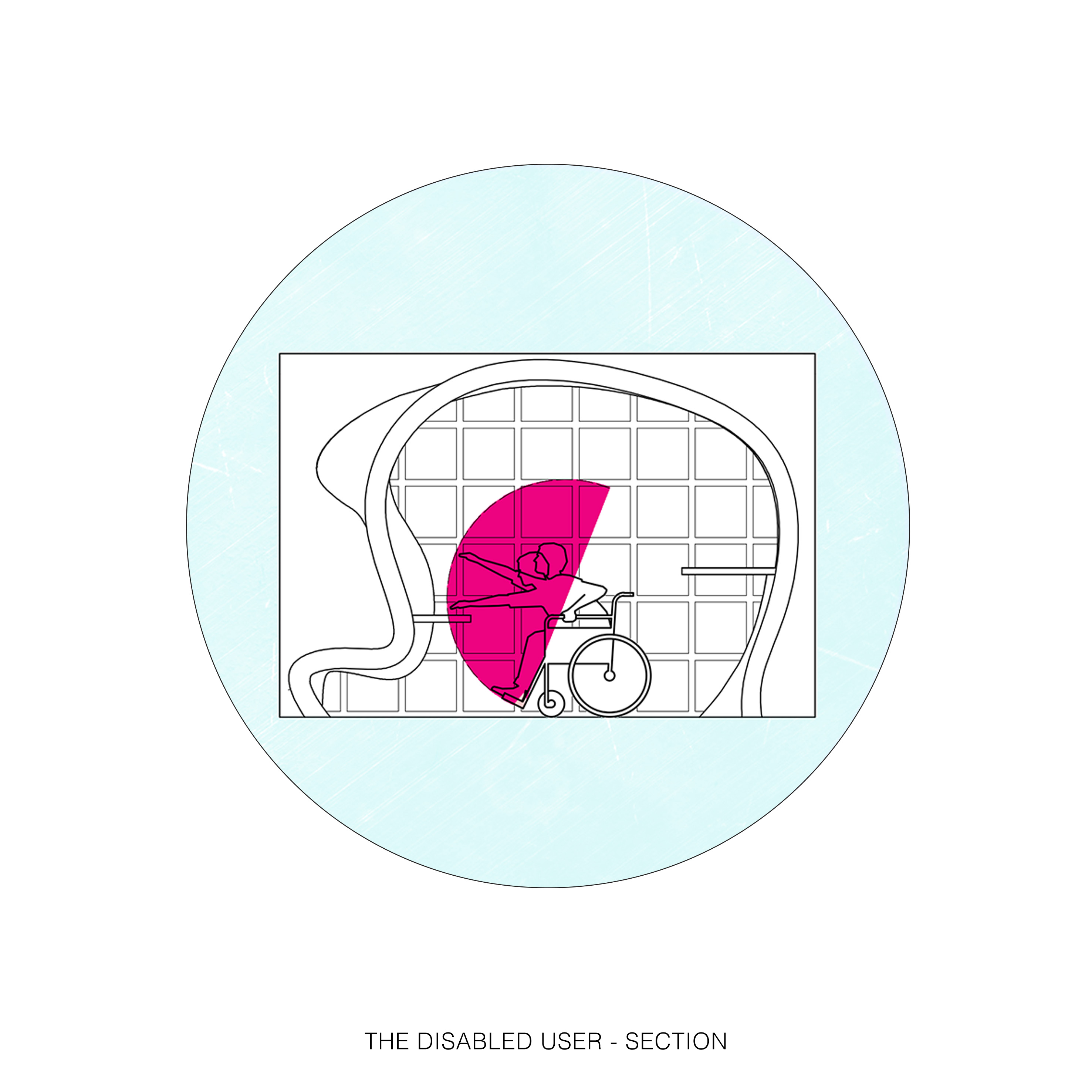 19_THE DISABLED USER – SECTION