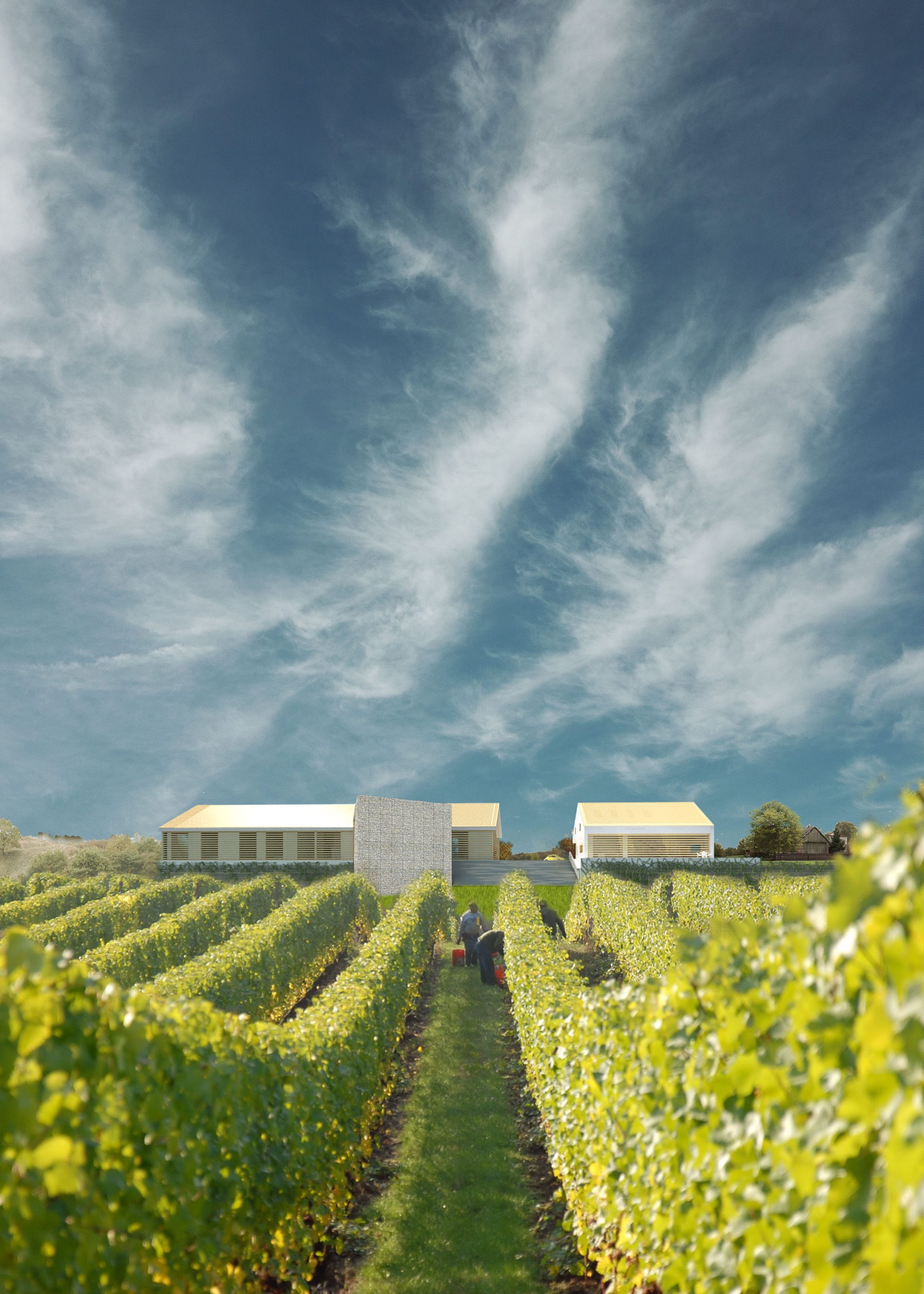 Wizualizacja 1 spłaszczona