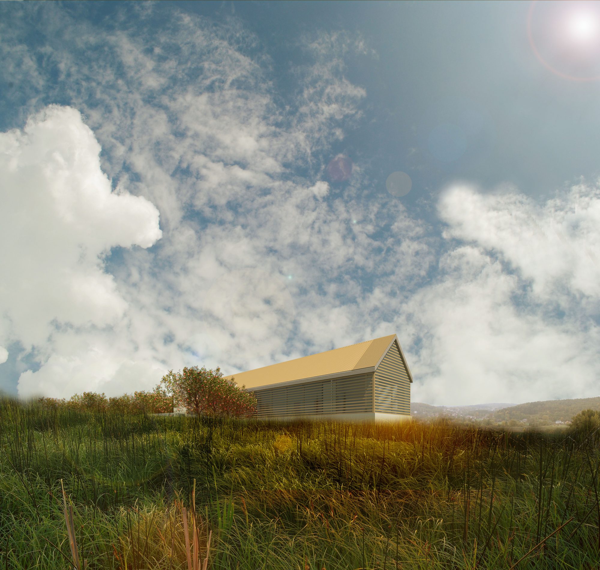 Wizualizacja 2 spłaszczone